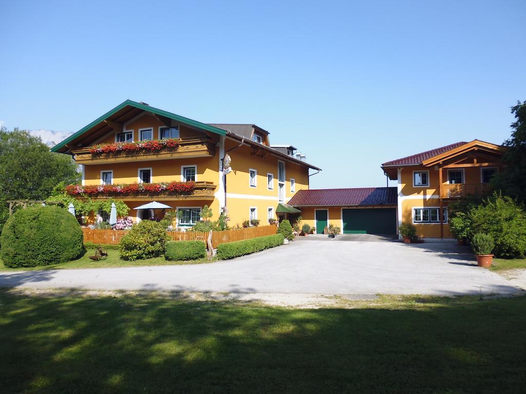 Pension David Hotel Puch bei Hallein Exterior foto